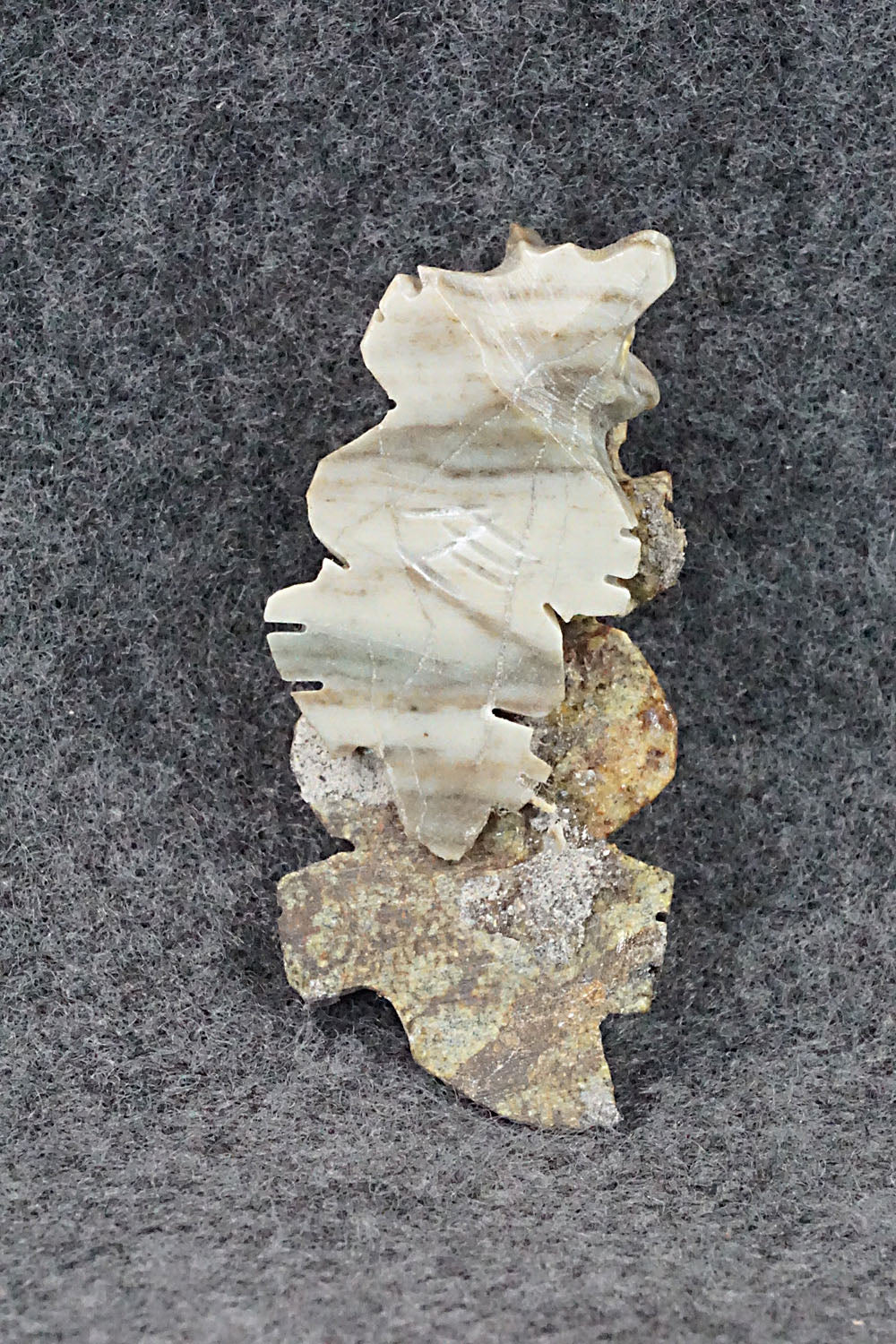 Badger Zuni Fetish Carving - Carl Etsate - Image 7