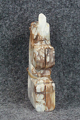 Bear Zuni Fetish Carving - Alex Tsethlikai - Image 8