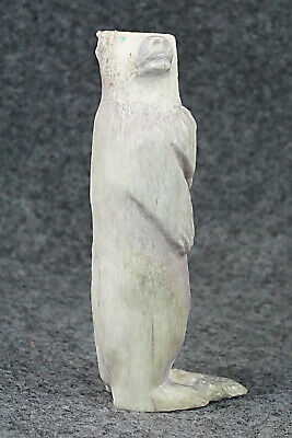 Bear Zuni Fetish Carving - Maxx Laate - Image 5