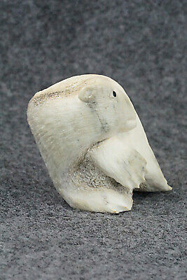 Bear Zuni Fetish Carving - Maxx Laate - Image 6