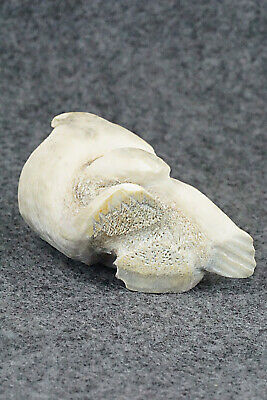 Bear Zuni Fetish Carving - Maxx Laate - Image 7