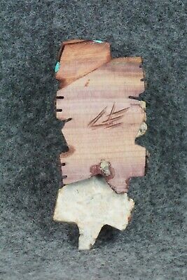 Horned Toad Zuni Fetish Carving - Carl Etsate - Image 8