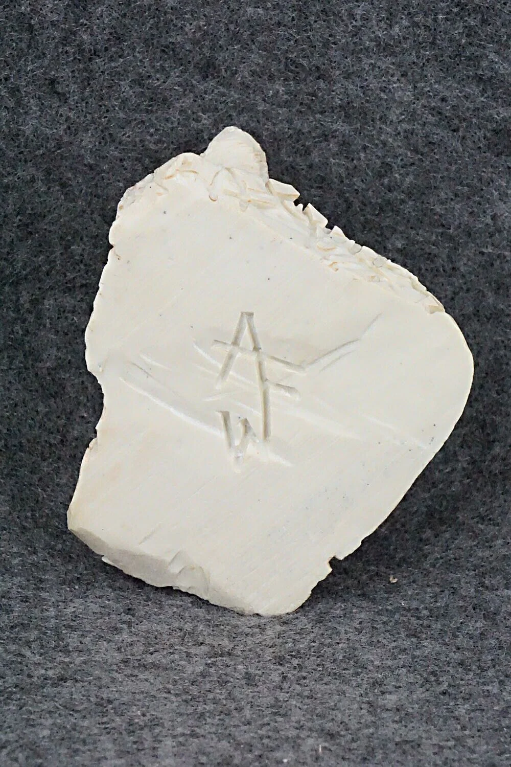 Turtle Zuni Fetish Carving - Adrian Cachini - Image 8