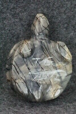 Turtle Zuni Fetish Carving - Taylor Gia - Image 7